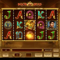 WildRobin - Book of Dead Slot Game - Pragmatic Play
